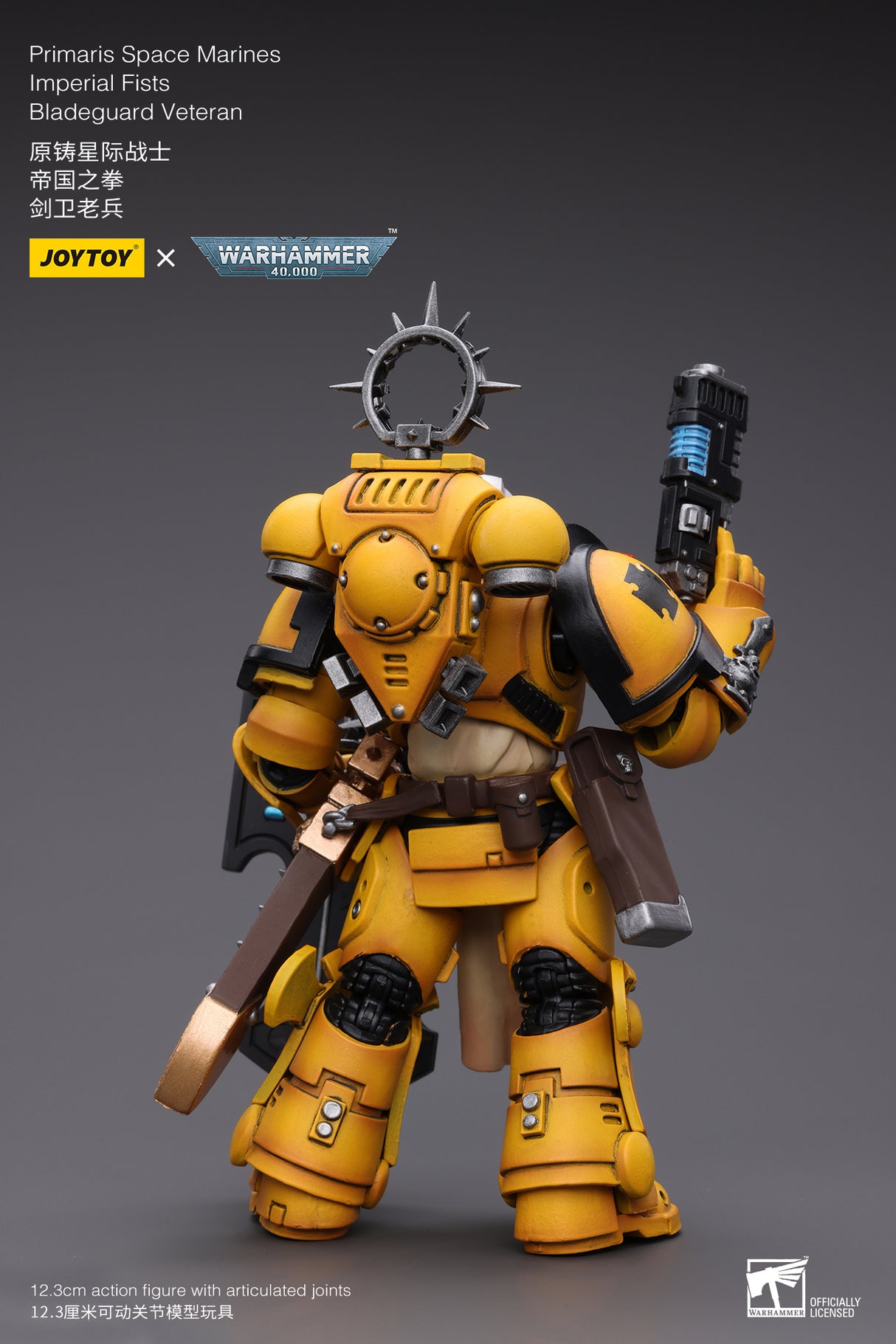 JOYTOY Warhammer 40k 1: 18 Pmaris Space Marines Bladeguard Veteran