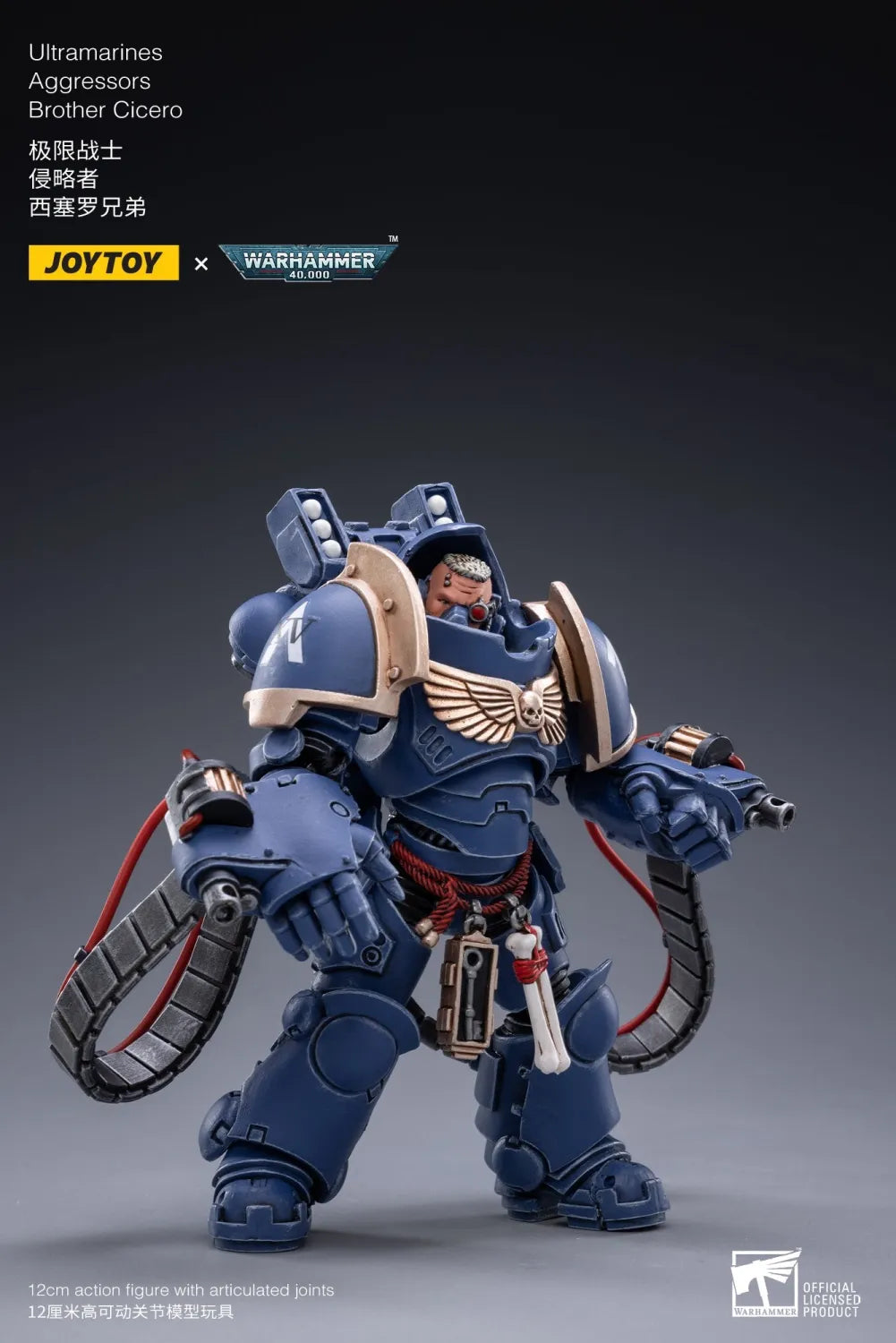 JOYTOY JT2184 Warhammer 40k 1: 18 Ultramarines Aggressors